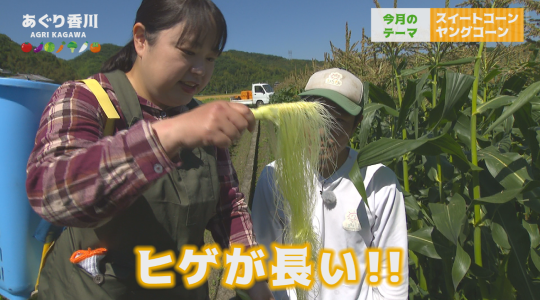 地域農業応援番組 あぐり香川