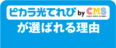 ピカラ光てれびbyCMSが選ばれる理由